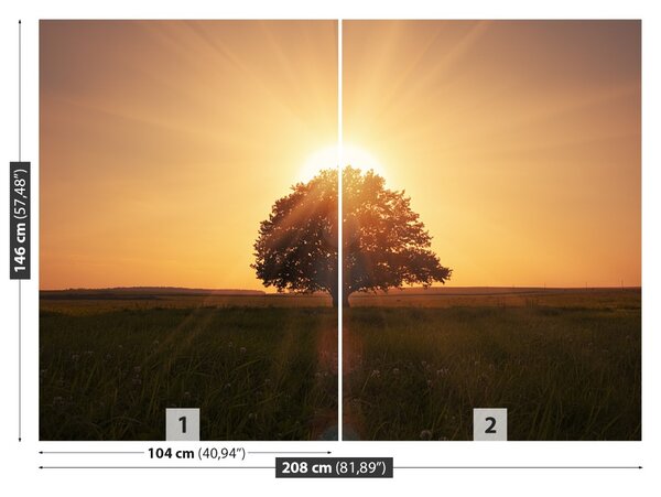 Fototapet Arborele Sunrise