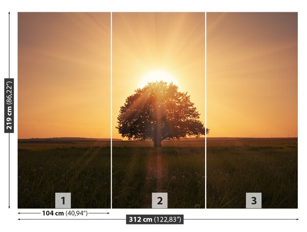 Fototapet Arborele Sunrise