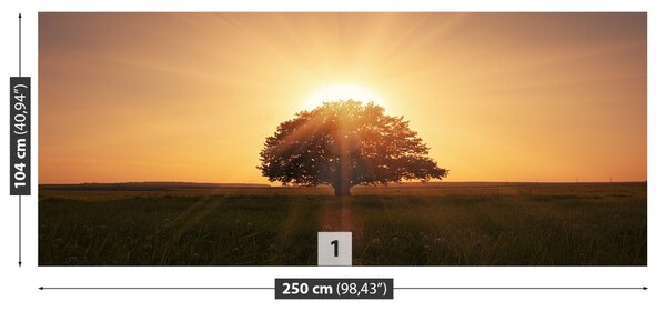 Fototapet Arborele Sunrise