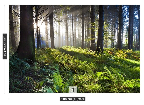 Fototapet Lemnul de The Sun