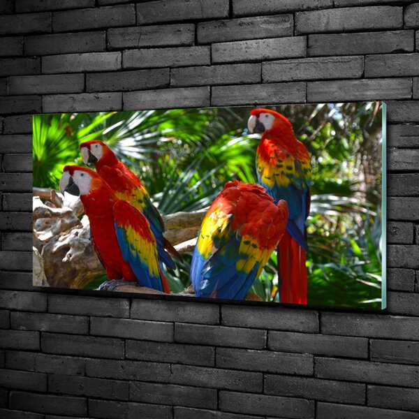 Tablou Printat Pe Sticlă papagali Macaws