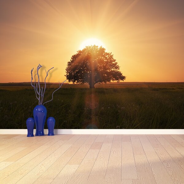 Fototapet Arborele Sunrise