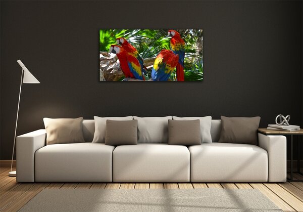 Tablou Printat Pe Sticlă papagali Macaws