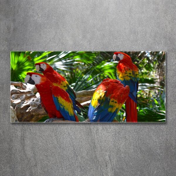 Tablou Printat Pe Sticlă papagali Macaws