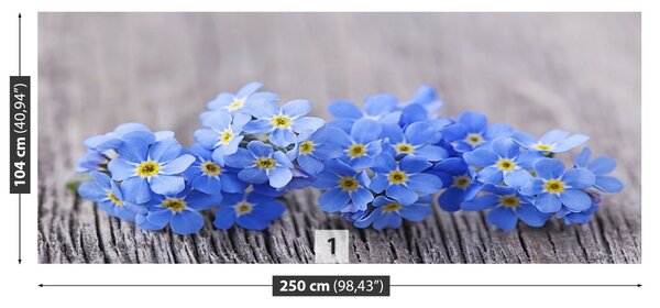 Fototapet nots