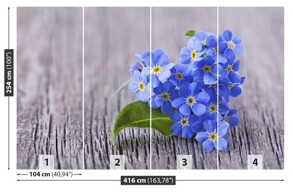 Fototapet nots