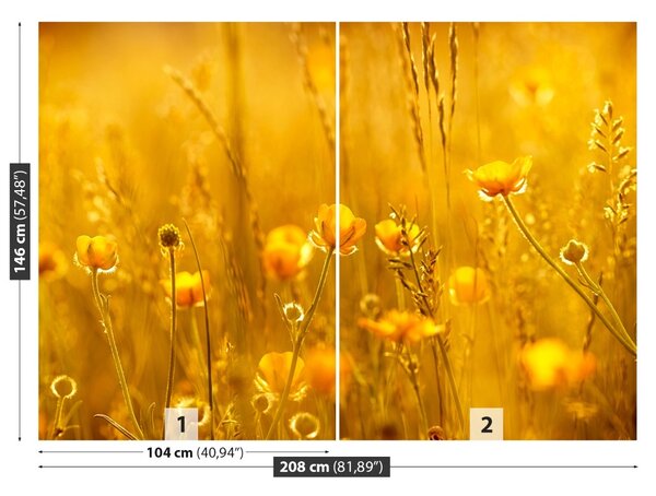 Fototapet Flori Meadow