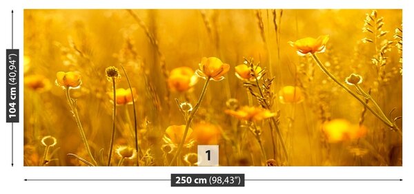 Fototapet Flori Meadow