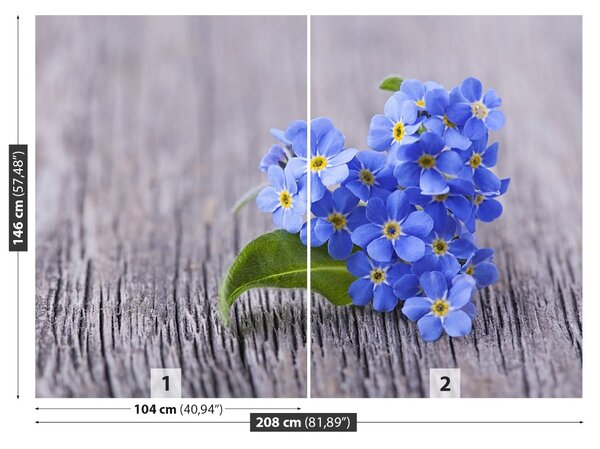 Fototapet nots