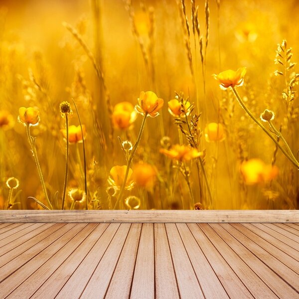 Fototapet Flori Meadow