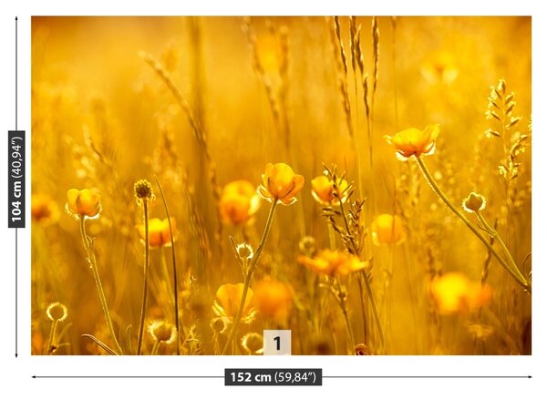 Fototapet Flori Meadow