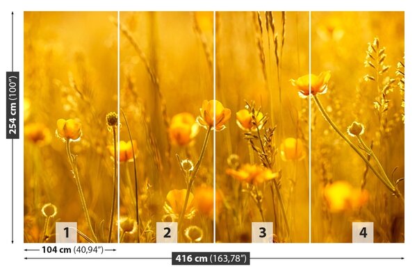 Fototapet Flori Meadow