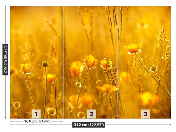Fototapet Flori Meadow