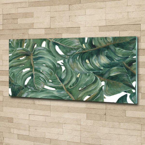 Tablou sticlă Monstera