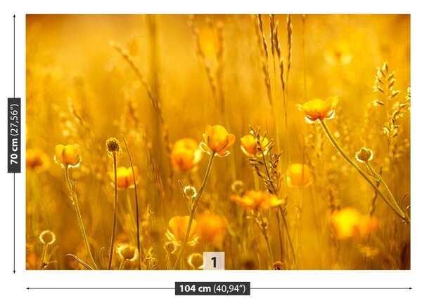 Fototapet Flori Meadow
