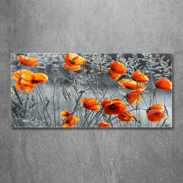 Tablou sticlă wildflowers maci