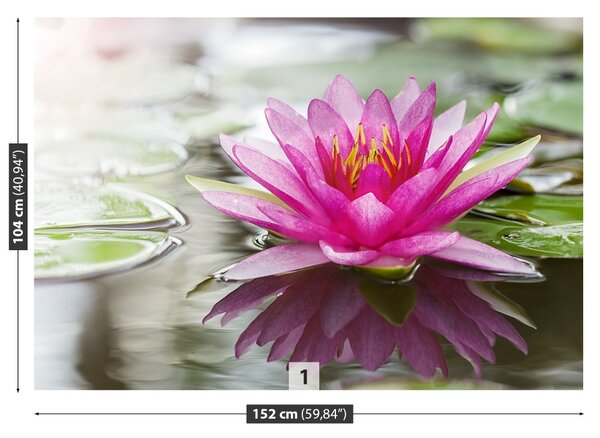 Fototapet roz Lotus