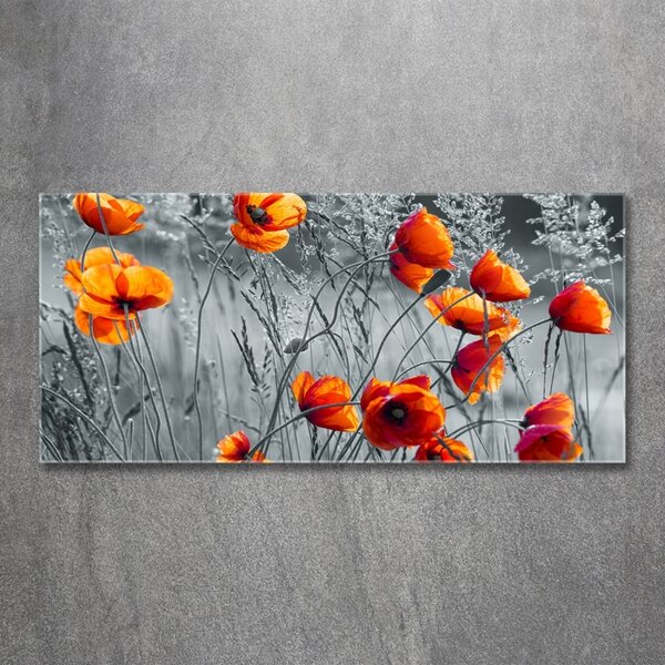 Tablou pe pe sticlă wildflowers maci