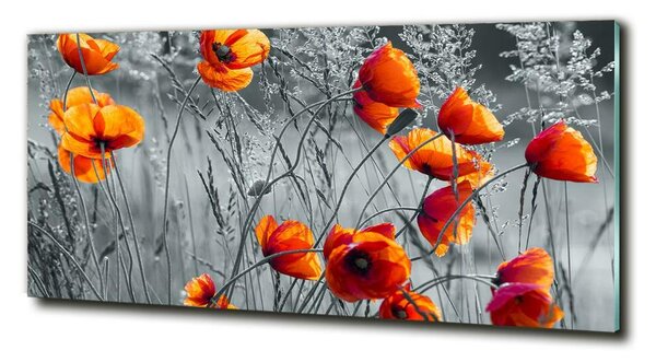 Tablou pe pe sticlă wildflowers maci