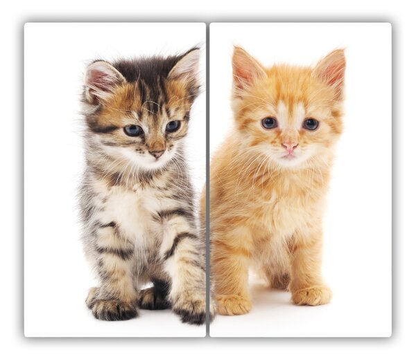 Tocator din sticla Cat animale