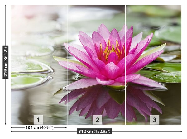Fototapet roz Lotus