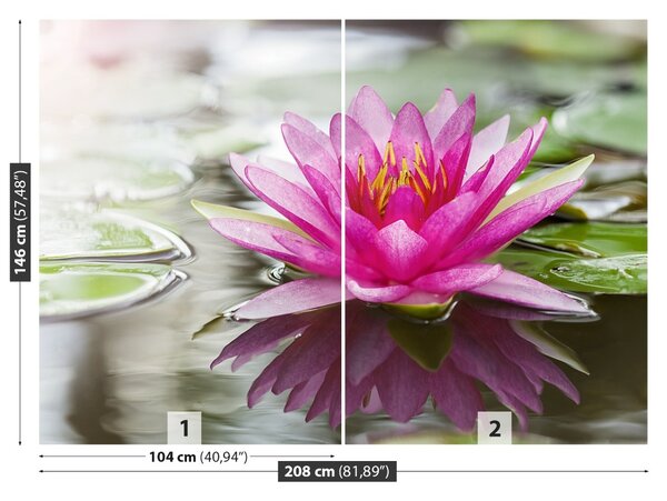 Fototapet roz Lotus