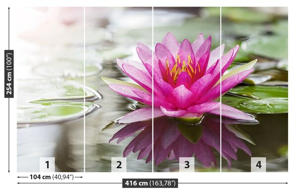 Fototapet roz Lotus