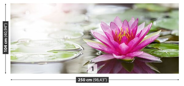 Fototapet roz Lotus