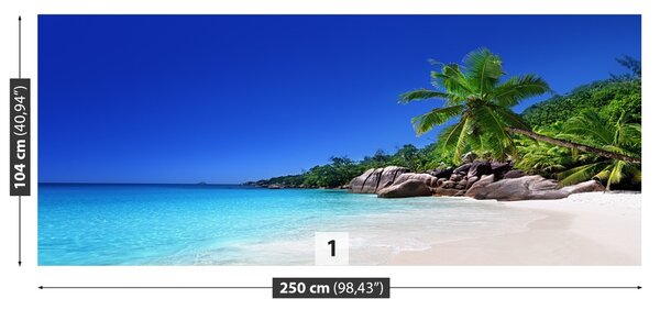Fototapet Seychelles Beach