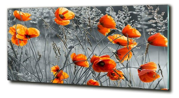Tablou sticlă wildflowers maci