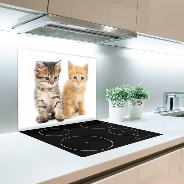Tocator din sticla Cat animale