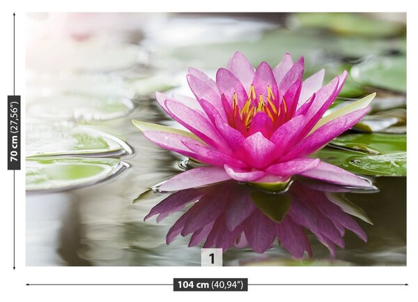 Fototapet roz Lotus