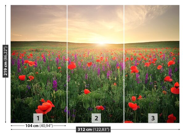 Fototapet maci Meadow