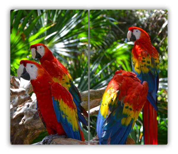 Tocator din sticla macaws papagali