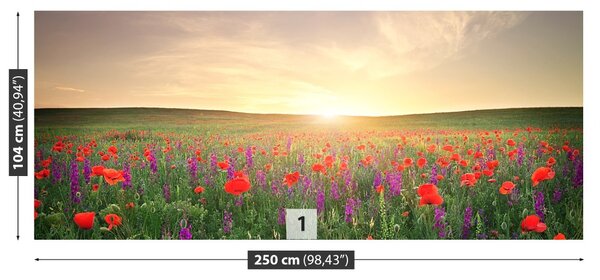 Fototapet maci Meadow