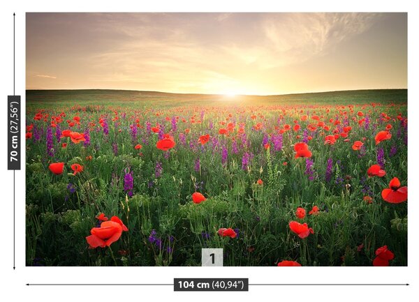 Fototapet maci Meadow