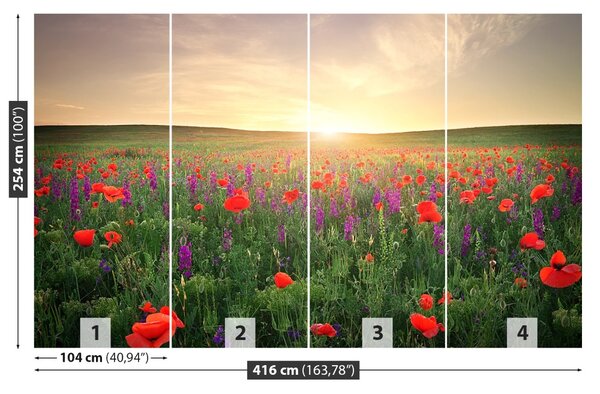 Fototapet maci Meadow