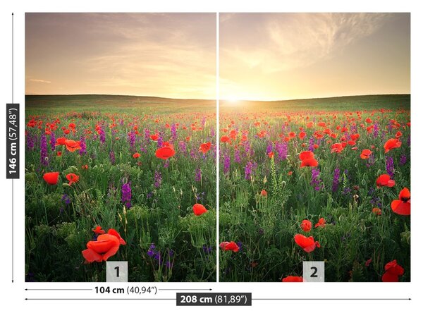 Fototapet maci Meadow