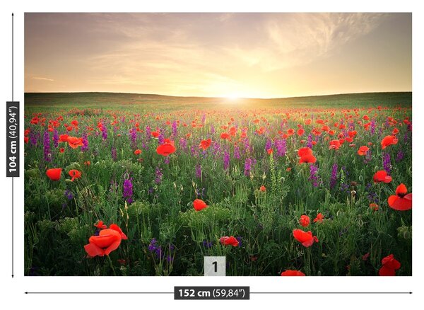 Fototapet maci Meadow