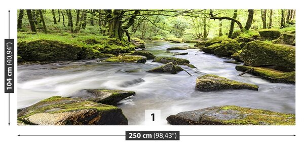 Fototapet Râul Fowey