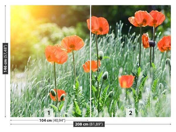 Fototapet Flori de mac