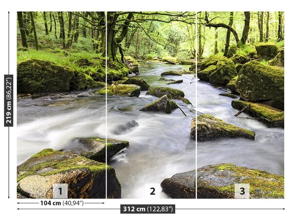 Fototapet Râul Fowey