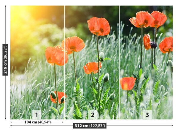 Fototapet Flori de mac