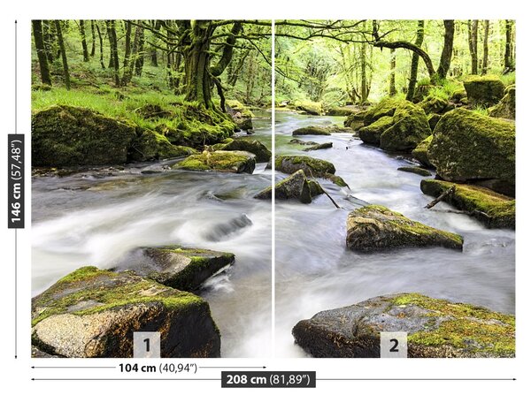 Fototapet Râul Fowey