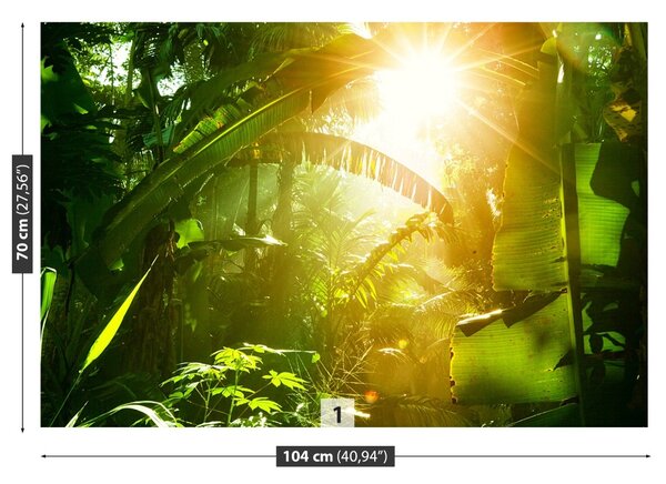Fototapet Jungle În Vietnam