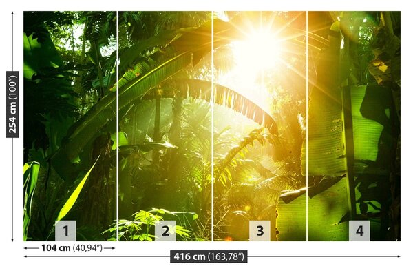 Fototapet Jungle În Vietnam