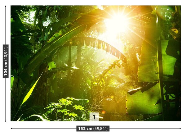 Fototapet Jungle În Vietnam