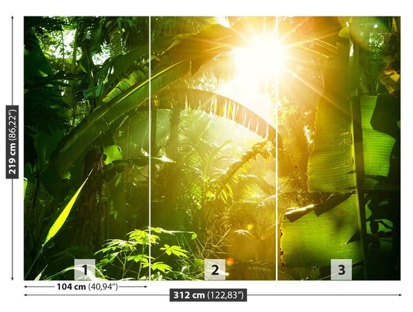 Fototapet Jungle În Vietnam
