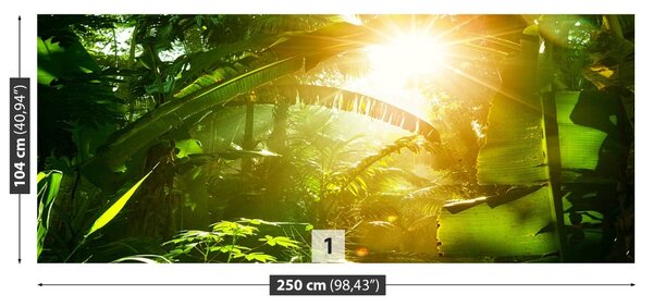 Fototapet Jungle În Vietnam