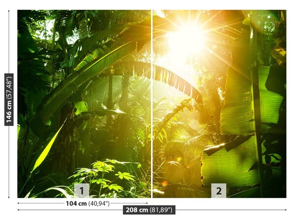 Fototapet Jungle În Vietnam